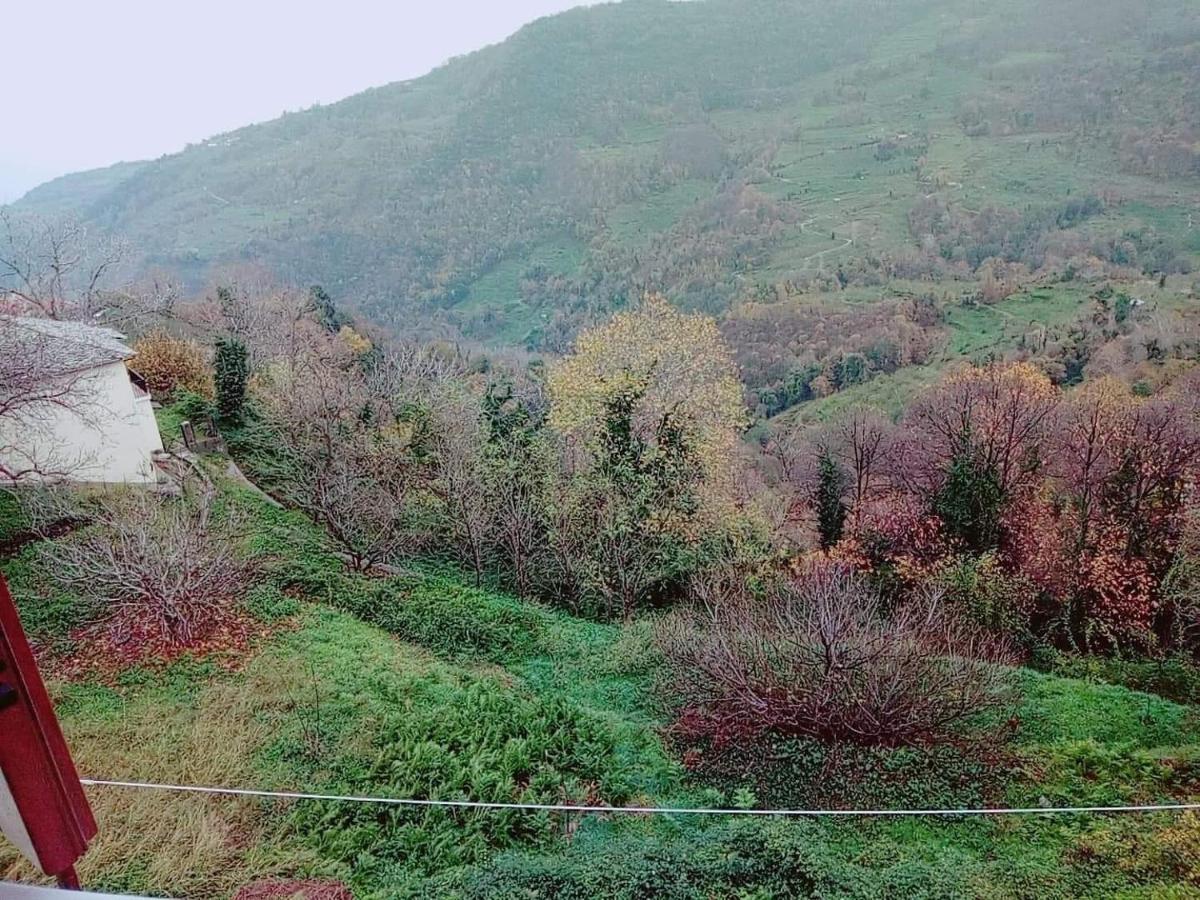 Отель Evridiki Загора Экстерьер фото