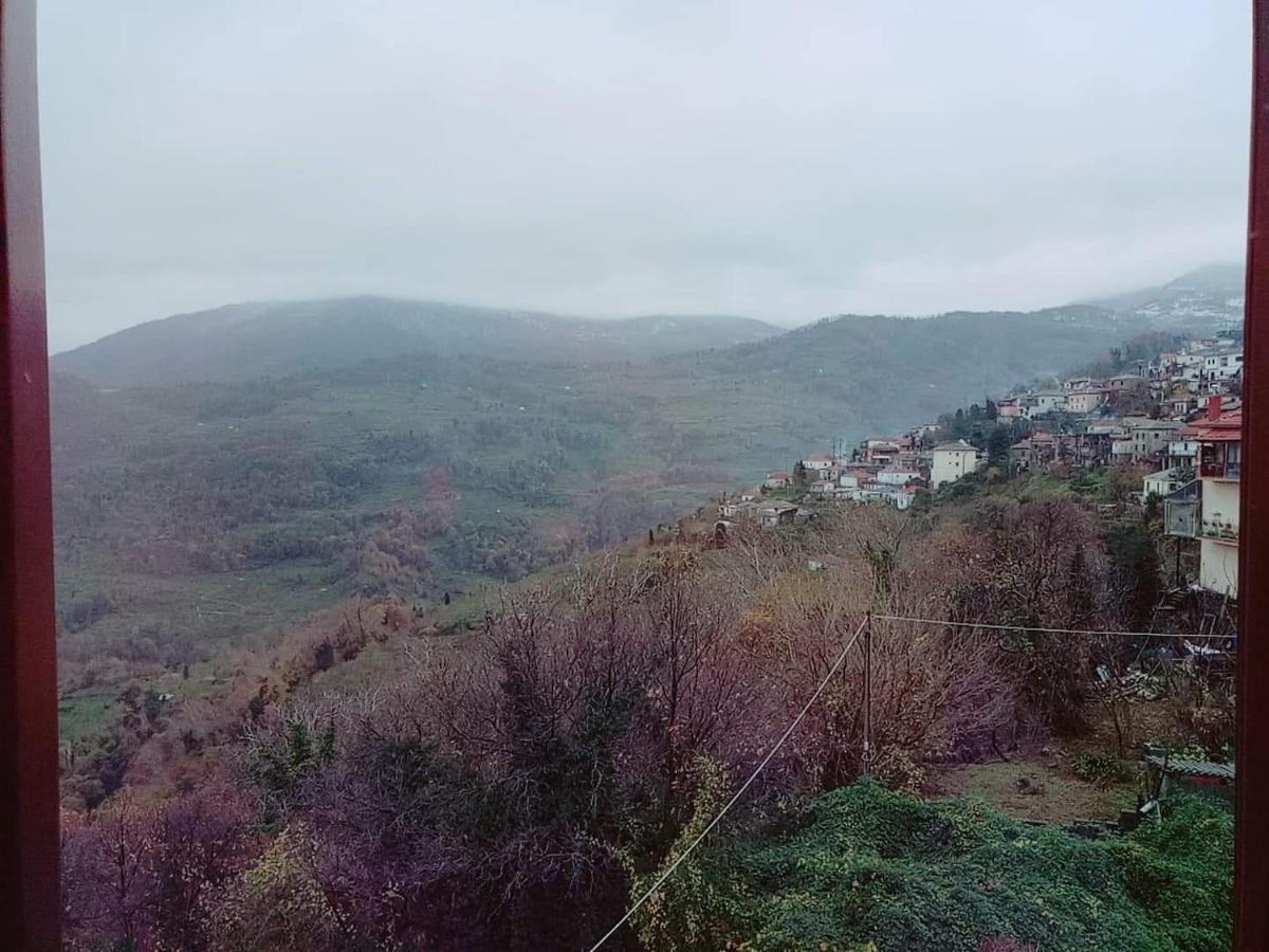 Отель Evridiki Загора Экстерьер фото