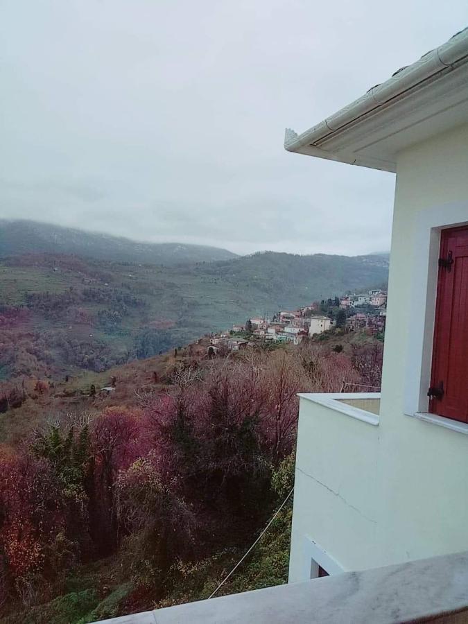 Отель Evridiki Загора Экстерьер фото